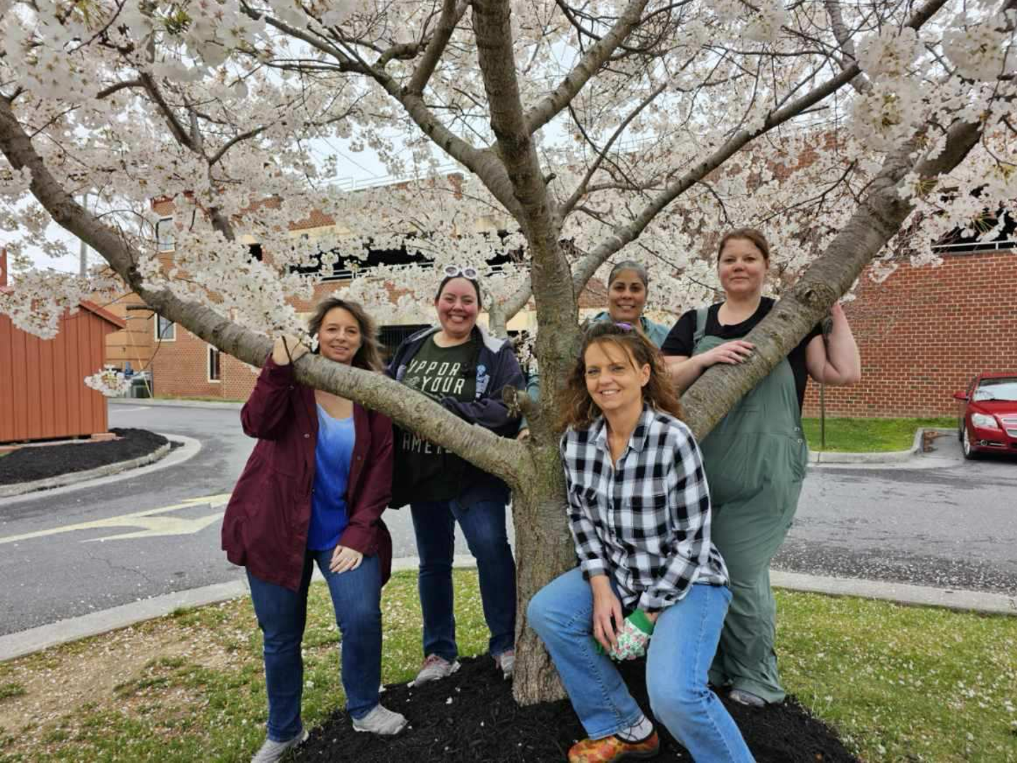 Setting Healthy Goals and Boundaries Blog image - gathering at tree outside Our Health Campus