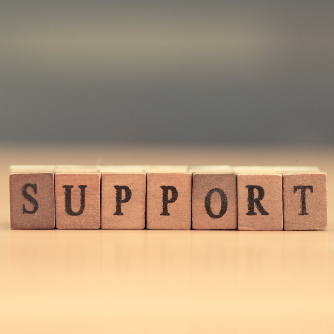 8 disability services and inclusive care - resource image