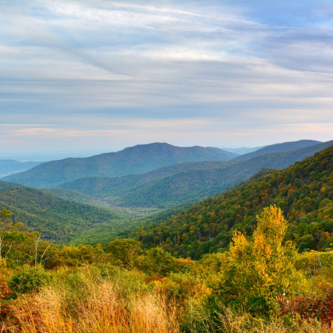 The Role of Connection and Collaboration Northern Shenandoah Valley