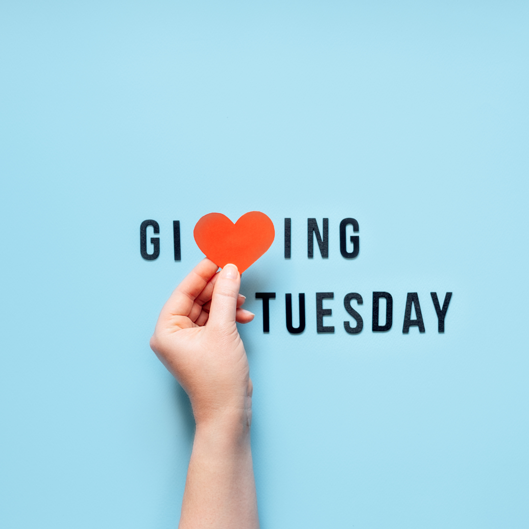United Way NSV partnership Giving Tuesday
