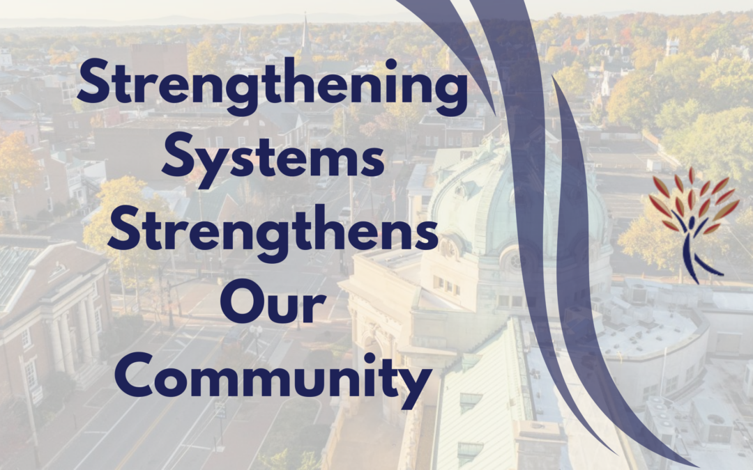 Strengthening the Systems That Strengthen Our Community
