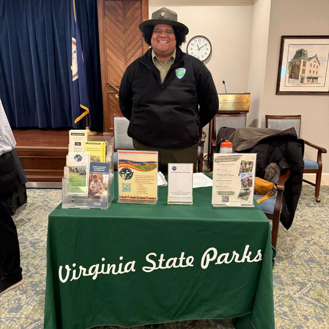 Power of Volunteers img 6