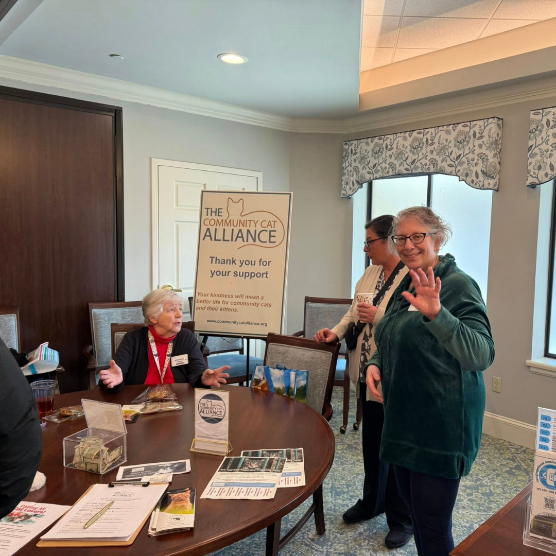 Power of Volunteers img 5