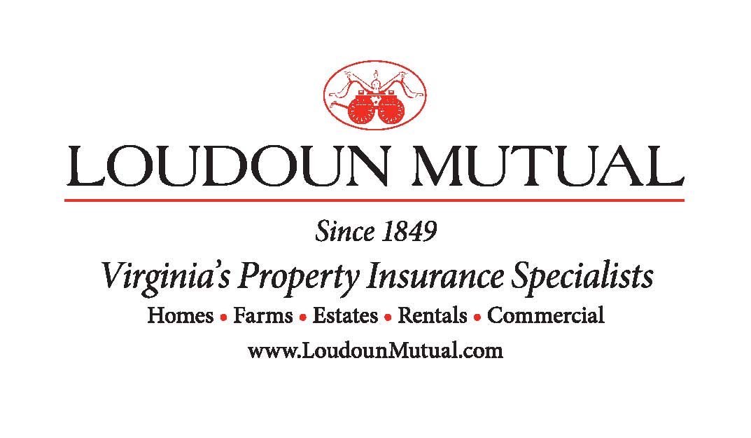 Title Sponsor - Loudoun Mutual Detailed BPG USA logo